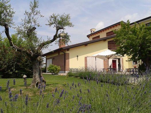 Agriturismo Anna Caterina Hotel Castelnuovo del Garda Exterior foto