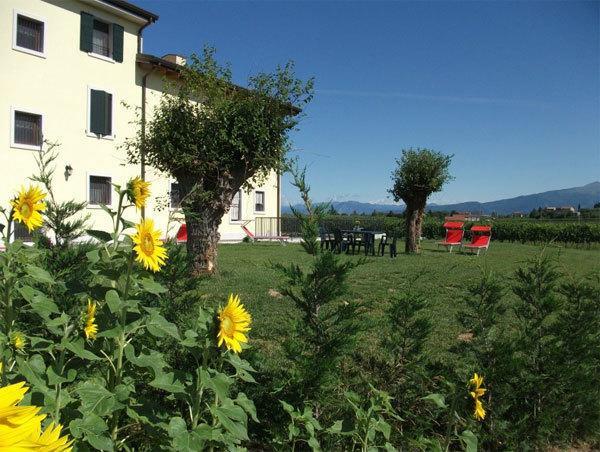 Agriturismo Anna Caterina Hotel Castelnuovo del Garda Exterior foto